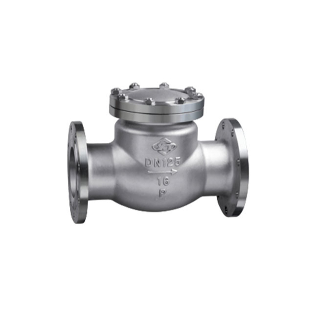 DIN Flange Stainless Steel Swing Check Valve